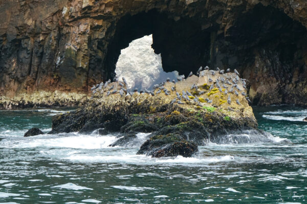 Perfil de Cristo en las Islas Ballestas Paracas: Vista del perfil de Cristo esculpido en una formación rocosa en las Islas Ballestas, Paracas, un destino emblemático de la costa peruana.