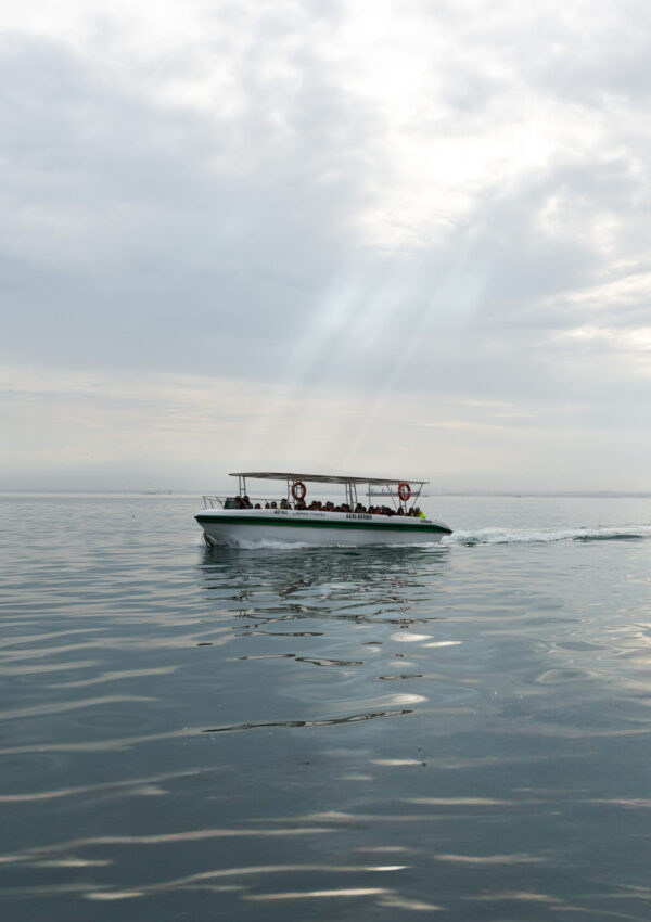 Recorrido en Barco a las Islas Ballestas Paracas: Imagen mostrando el recorrido en barco hacia las Islas Ballestas, un destino turístico único en la costa peruana.
