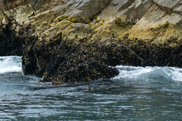 Recorrido en Barco a las Islas Ballestas Paracas: Imagen mostrando el recorrido en barco hacia las Islas Ballestas, un destino turístico único en la costa peruana.