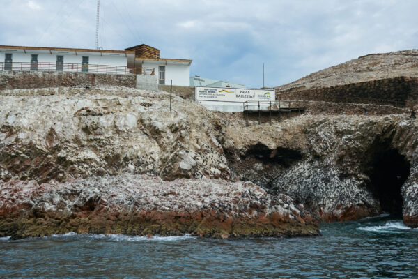 Recorrido en Barco a las Islas Ballestas Paracas: Imagen mostrando el recorrido en barco hacia las Islas Ballestas, un destino turístico único en la costa peruana.