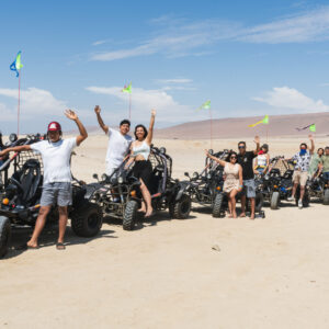 Mini Buggy Paracas - Disfruta de un emocionante recorrido en mini buggy por el desierto de Paracas y vive una experiencia única de aventura en la costa de Ica.