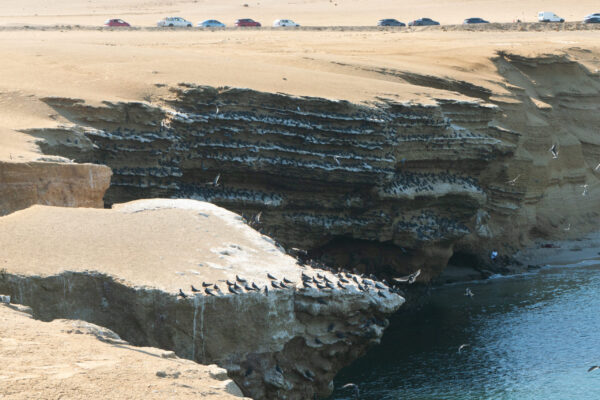 Playa Rocosa La Mina Paracas - Vista panorámica de Playa Rocosa La Mina, con su agua cristalina y formaciones rocosas, ubicada en la región de Paracas Ica